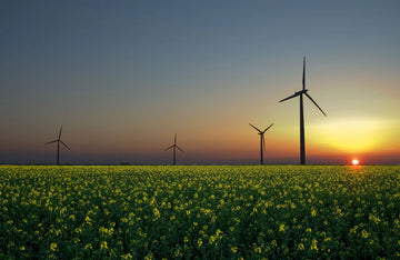 Small steps to reduce carbon footprint